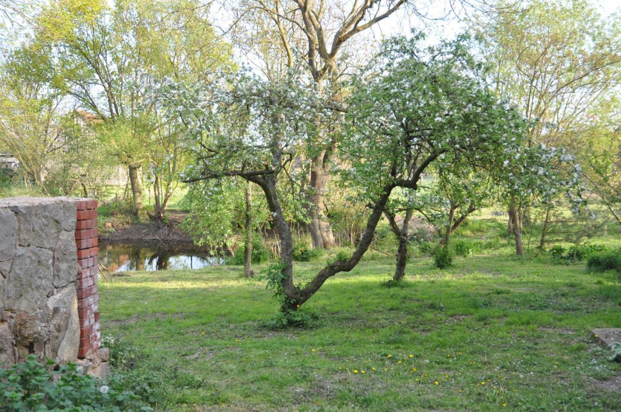 Ferienhaus Caselow 23 Bergholz Exteriör bild