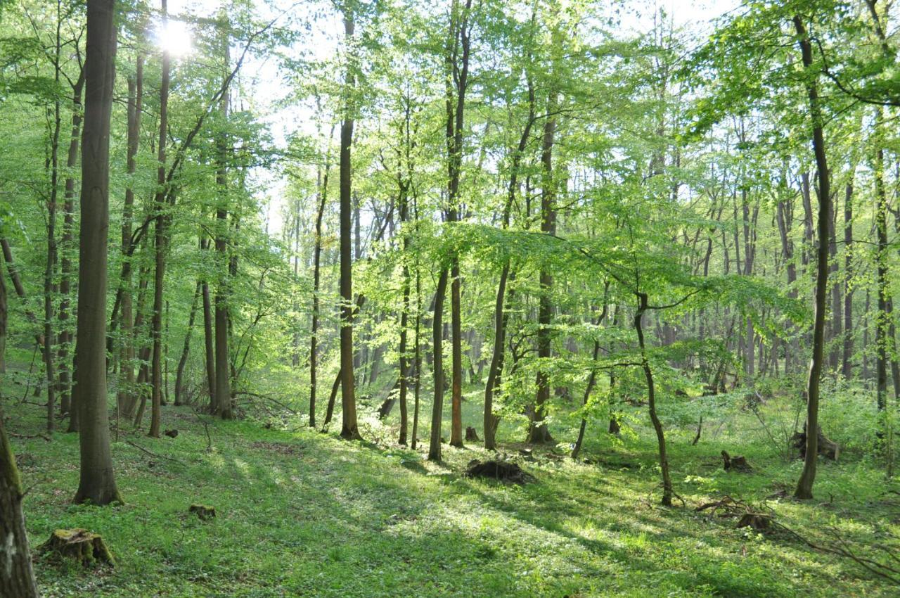 Ferienhaus Caselow 23 Bergholz Exteriör bild