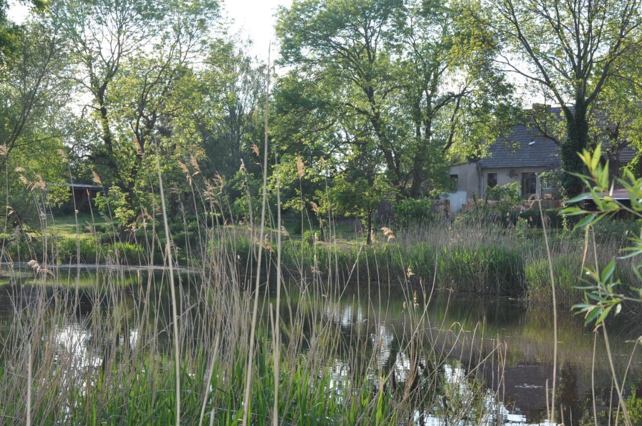 Ferienhaus Caselow 23 Bergholz Exteriör bild