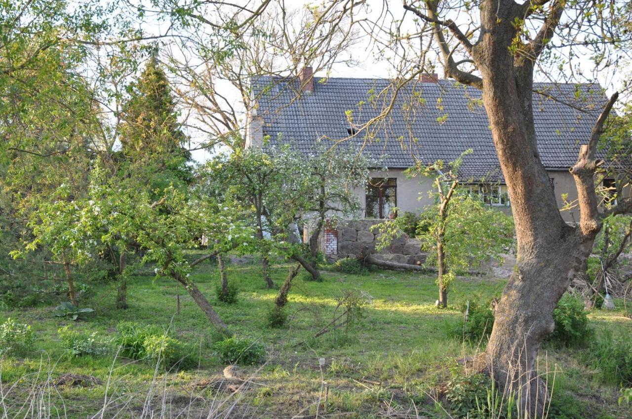 Ferienhaus Caselow 23 Bergholz Exteriör bild