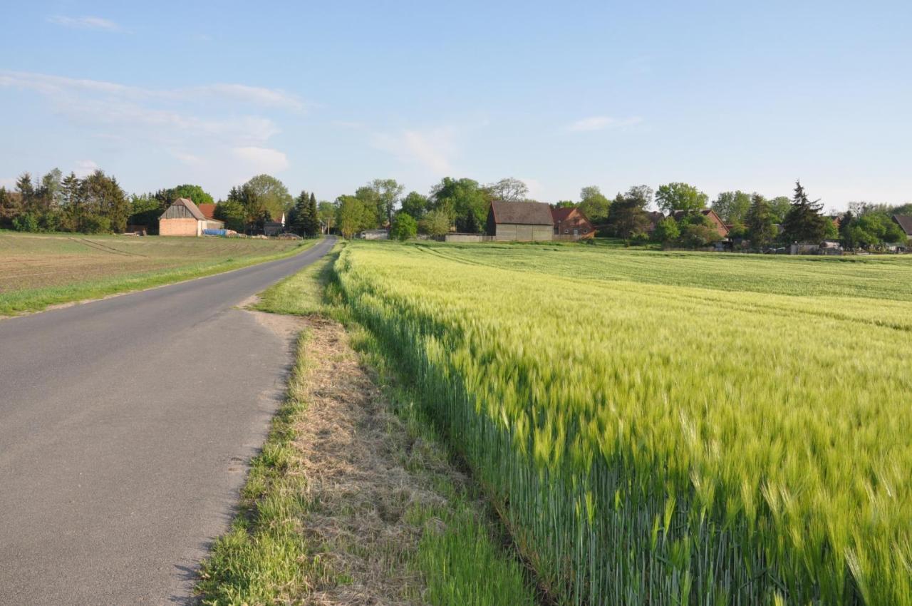 Ferienhaus Caselow 23 Bergholz Exteriör bild